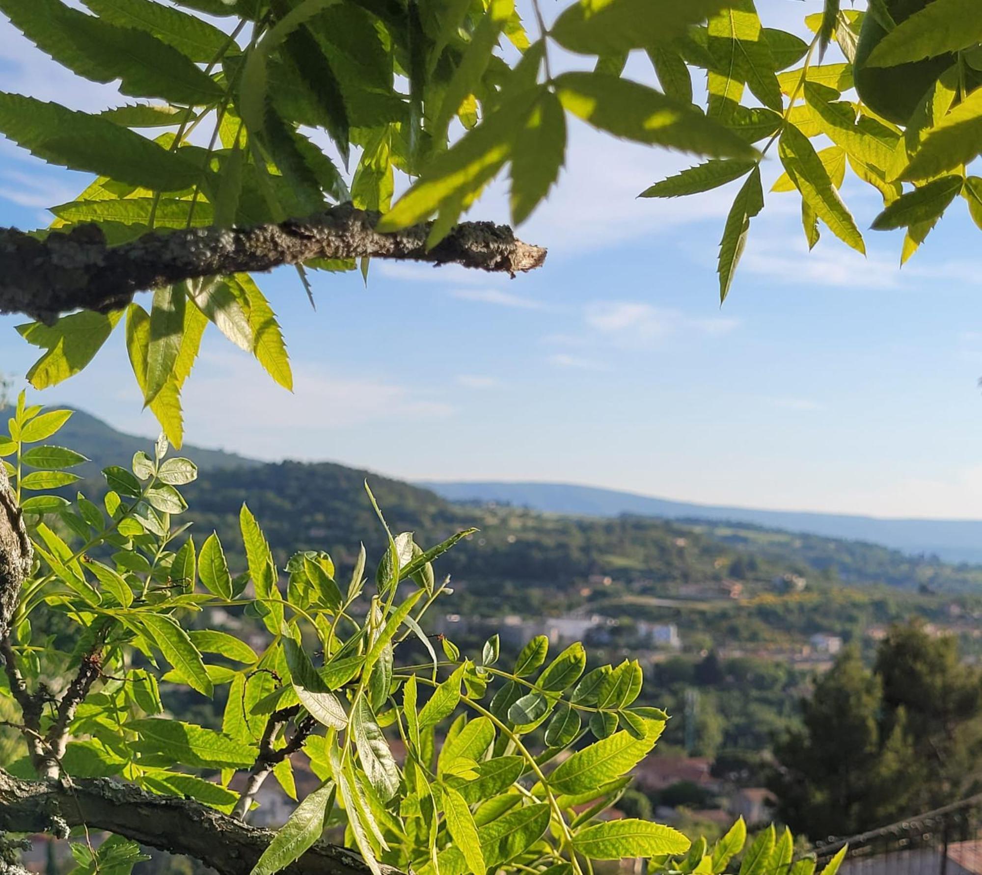 Homestay Le Jardin Des Oliviers