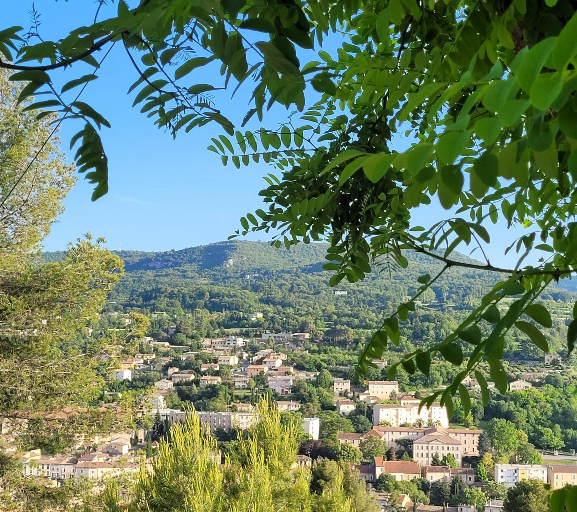 Le Jardin Des Oliviers *