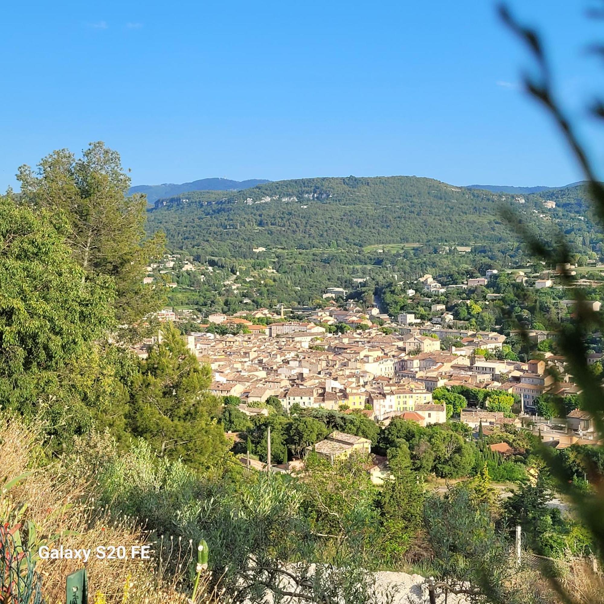Le Jardin Des Oliviers *