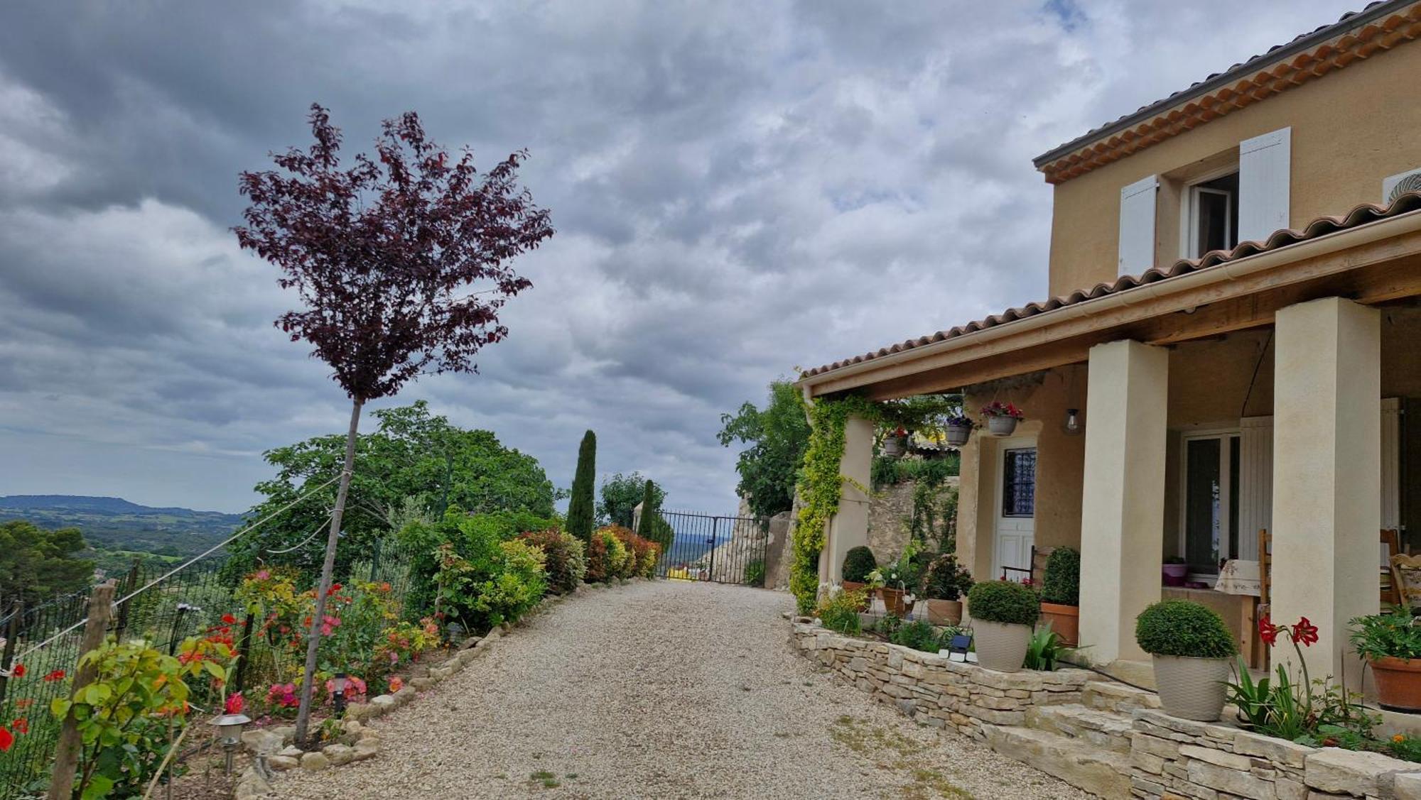 Le Jardin Des Oliviers *