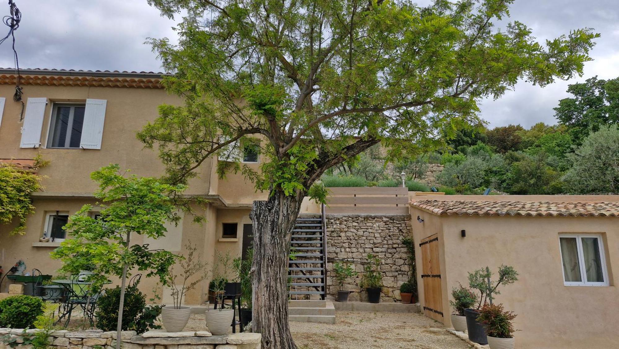 Le Jardin Des Oliviers *